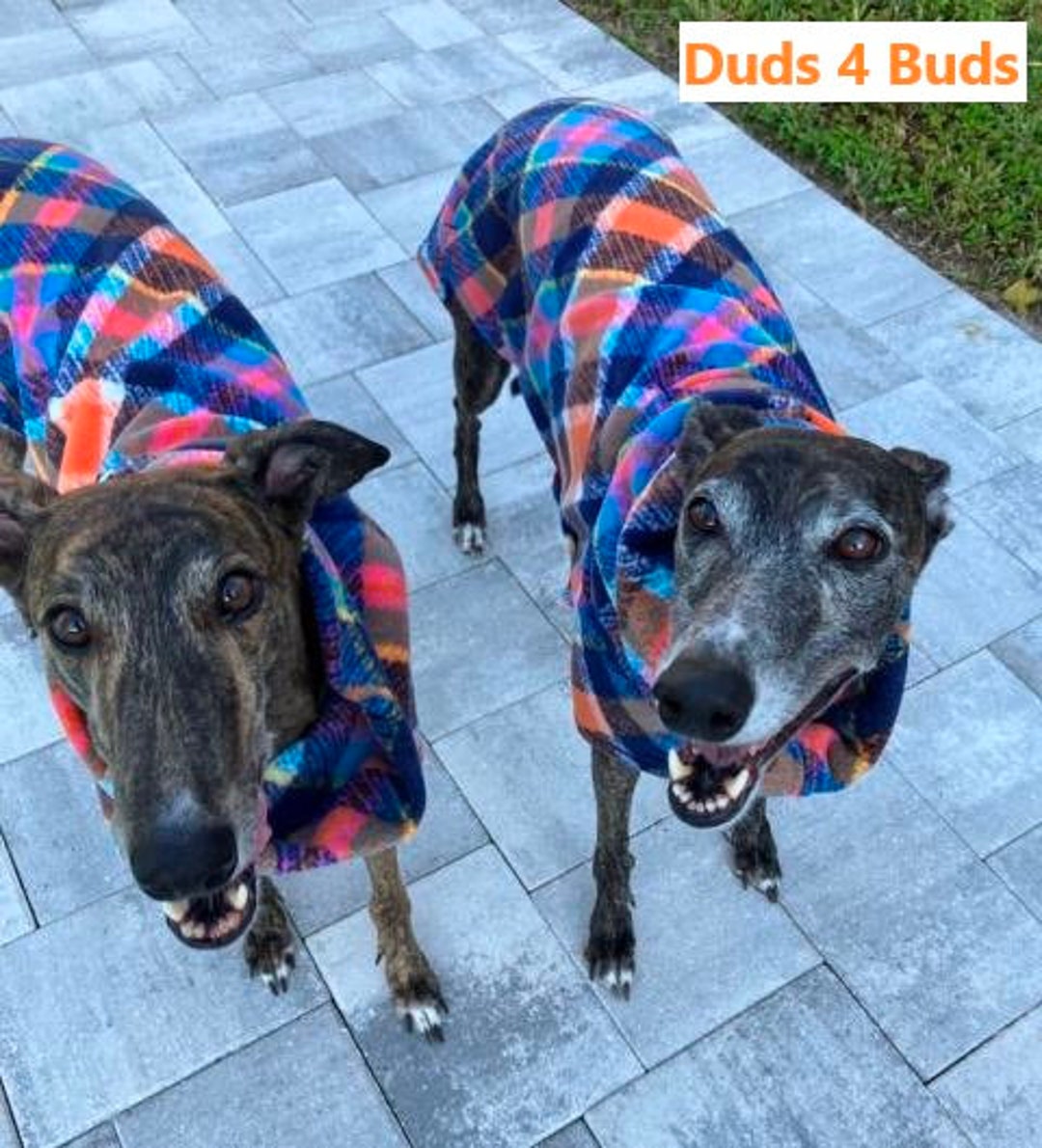 Greyhound Coat Plaid Dog Coat Dog Jacket Greyhound Clothing Multi