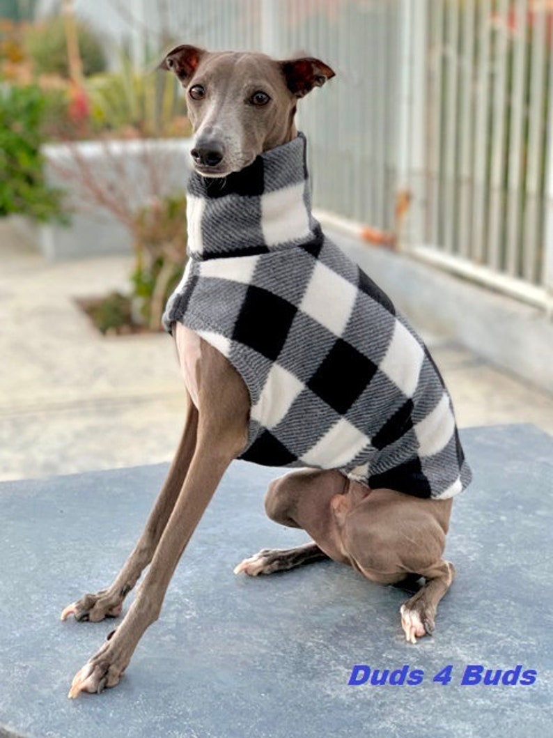 Italian Greyhound Clothing Plaid Dog Sweater White Plaid Coat for Italian Greyhound Italy Dog Pet Clothing Small Dog Clothes image 2