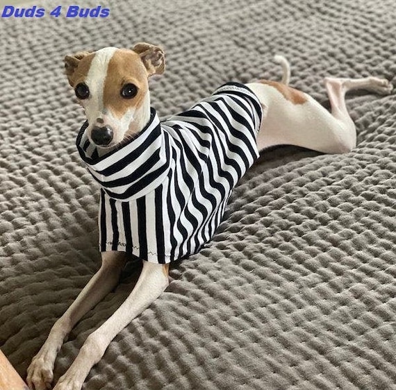 Italian Greyhound Shirt Italian Greyhound Shirt