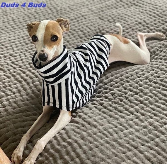 Size Guide, Italian Greyhound Clothing