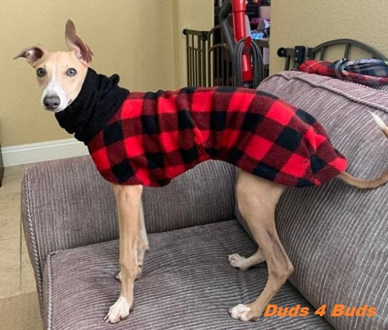 Italian Greyhound Coat Italian Greyhound Clothing Dog Coat Etsy