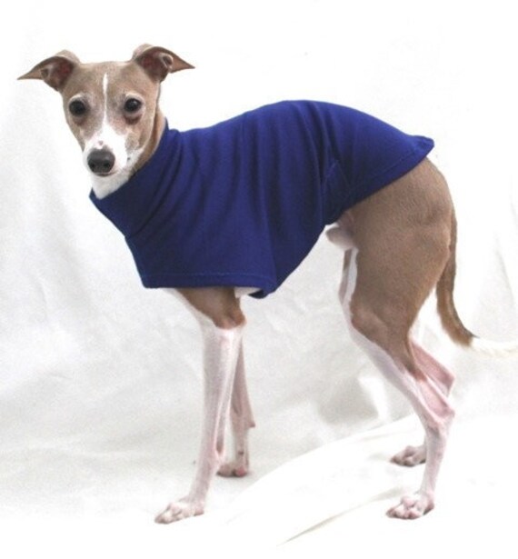 Greyhound dog clothes Clearance