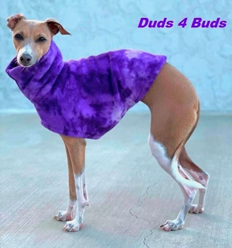 Italian Greyhound Clothing Italian Greyhound Vest Purple Splash Dog Clothing Pet Clothing Small Dog Clothes Fleece Dog Jacket image 1