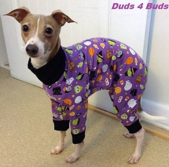 onesie for large dogs