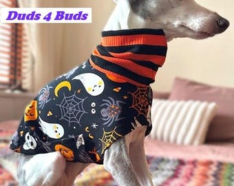 Italian Greyhound Clothing - Pet Halloween - Italy Greyhound - Iggy Clothing - Italian Greyhound Size