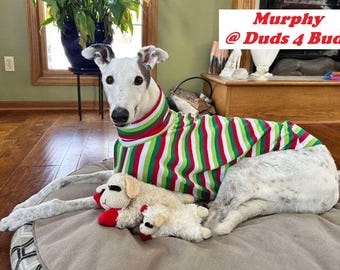 Greyhound Clothing - Pet apparel - Greyhound - Christmas Stripes Tee - Greyhound Size