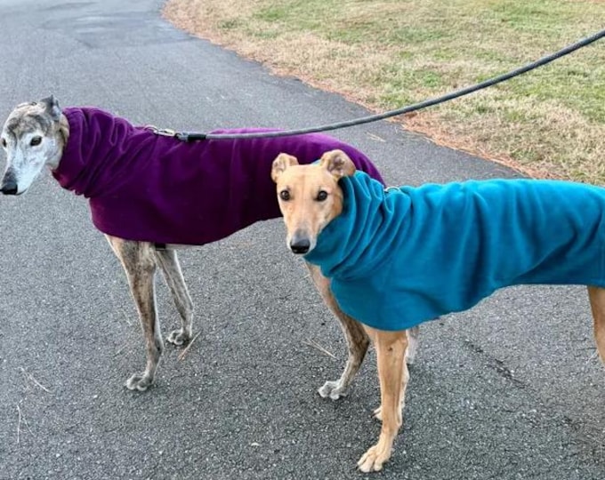 Winter Coat for Greyhound - Greyhound Coat - Big Dog Coat - Hoodie for Dog - Fleece Dog Coat - Blue Aqua - Greyhound Sizes
