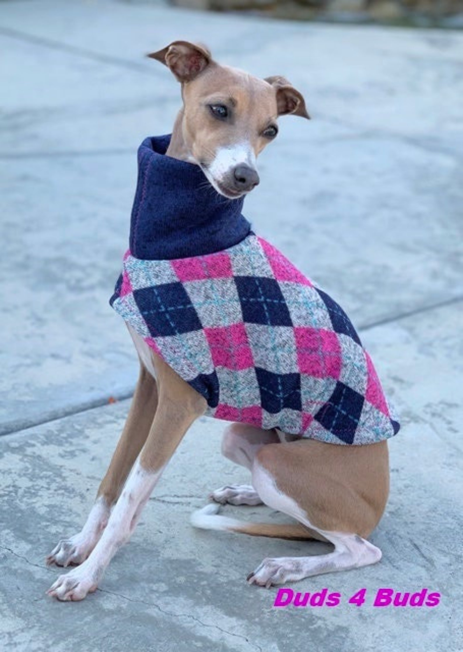 Italian Greyhound Clothing Favorite Cardigan Pet Clothing Etsy