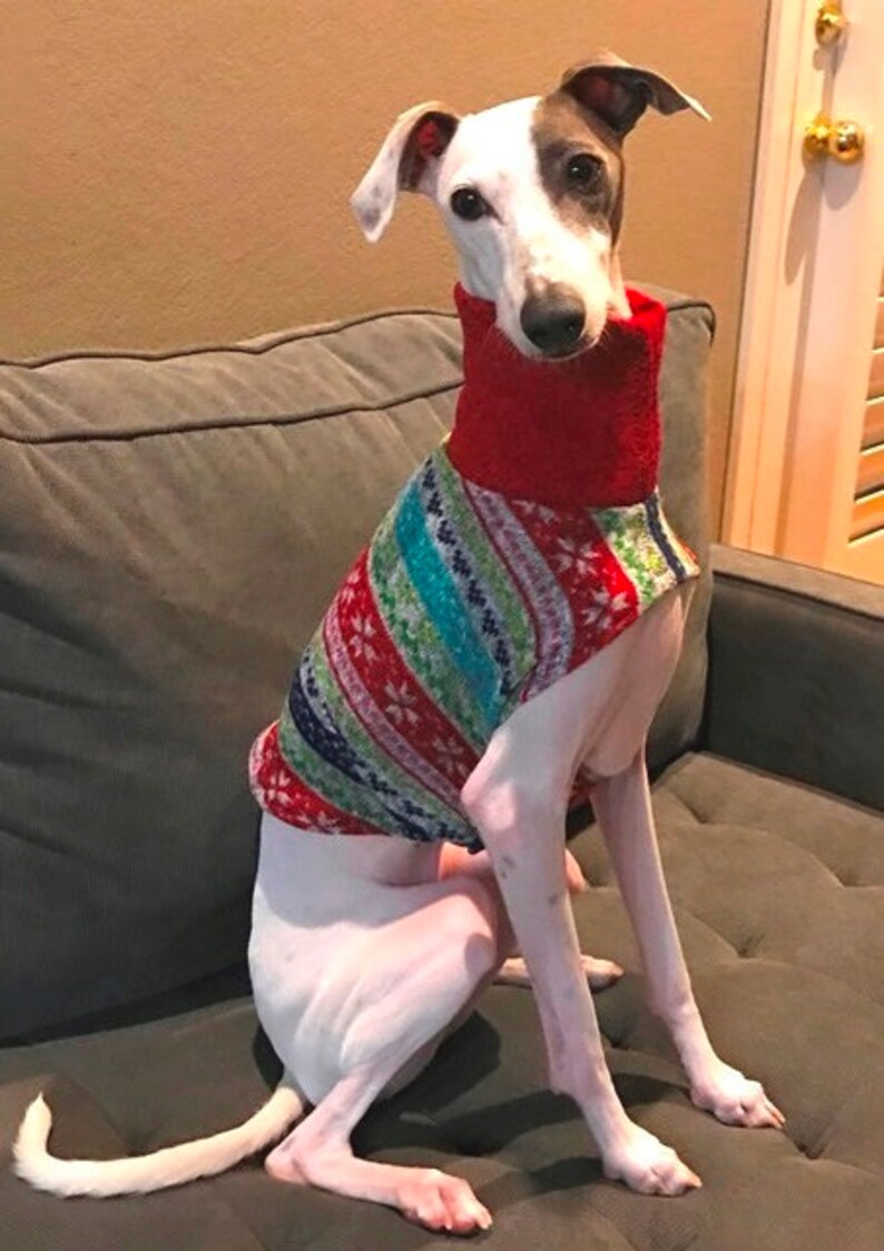 Italian Greyhound Sweater Ugly Christmas Sweater for Dog Pet Accessories Dog Sweater Small Dog Clothes Pet Christmas image 7