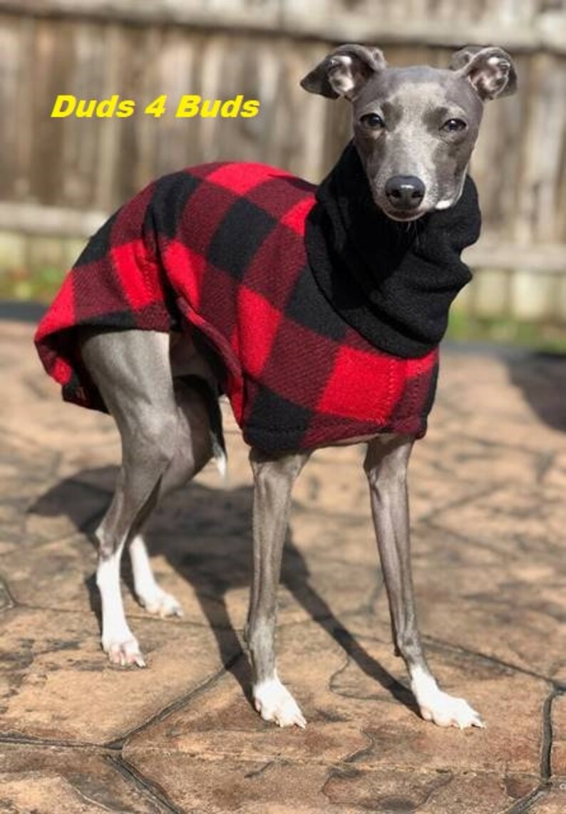 Italian Greyhound Coat Italian Greyhound Clothing Dog Coat Etsy