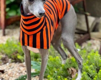 Italian Greyhound Clothing - Dog Halloween Costume - Italy Greyhound - Iggy Clothing - Orange and Black Stripe - Italian Greyhound Size
