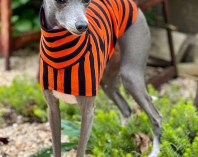 Italian Greyhound Clothing - Dog Halloween Costume - Italy Greyhound - Iggy Clothing - Orange and Black Stripe - Italian Greyhound Size