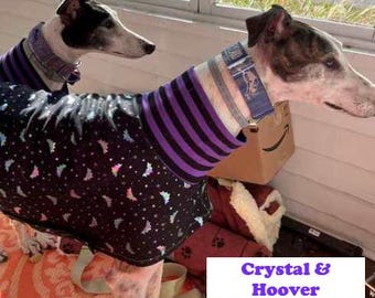 Greyhound Clothing - Pet Halloween - Greyhound Halloween - Hologram Bats Tee - Greyhound Size