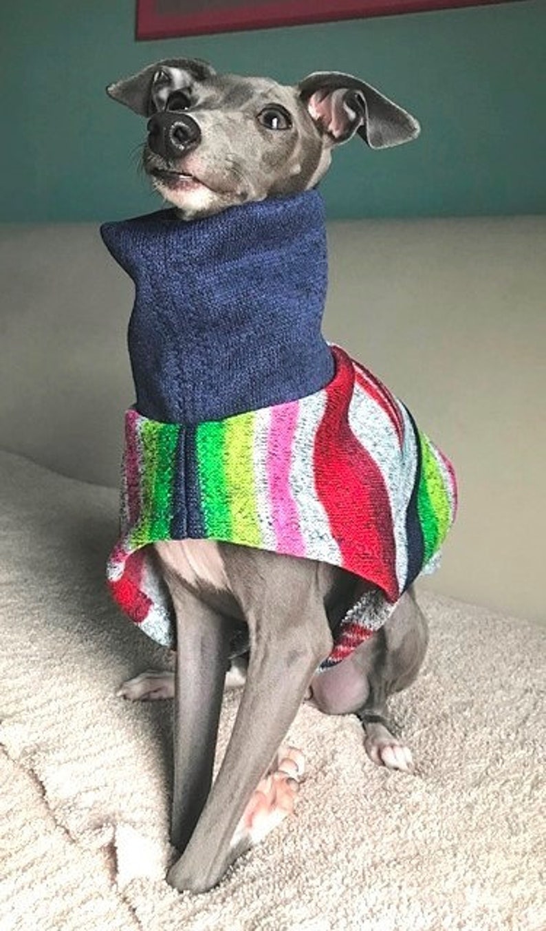 Italian Greyhound Sweater Multistripe Italian Greyhound Etsy