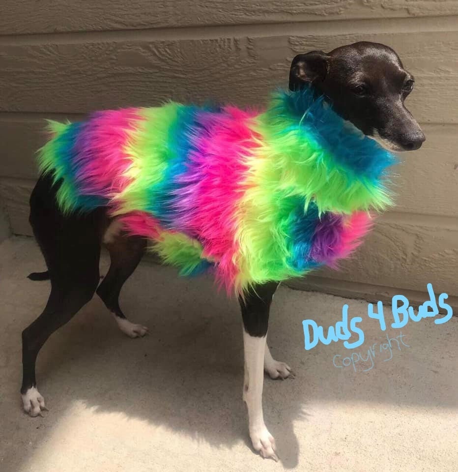 Italian Greyhound Clothing Dog Clothes Rainbow Faux Fur
