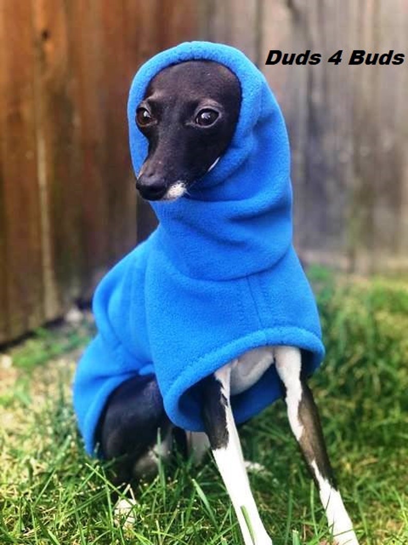 Italian Greyhound Coat Italian Greyhound Clothing Dog Coat Etsy