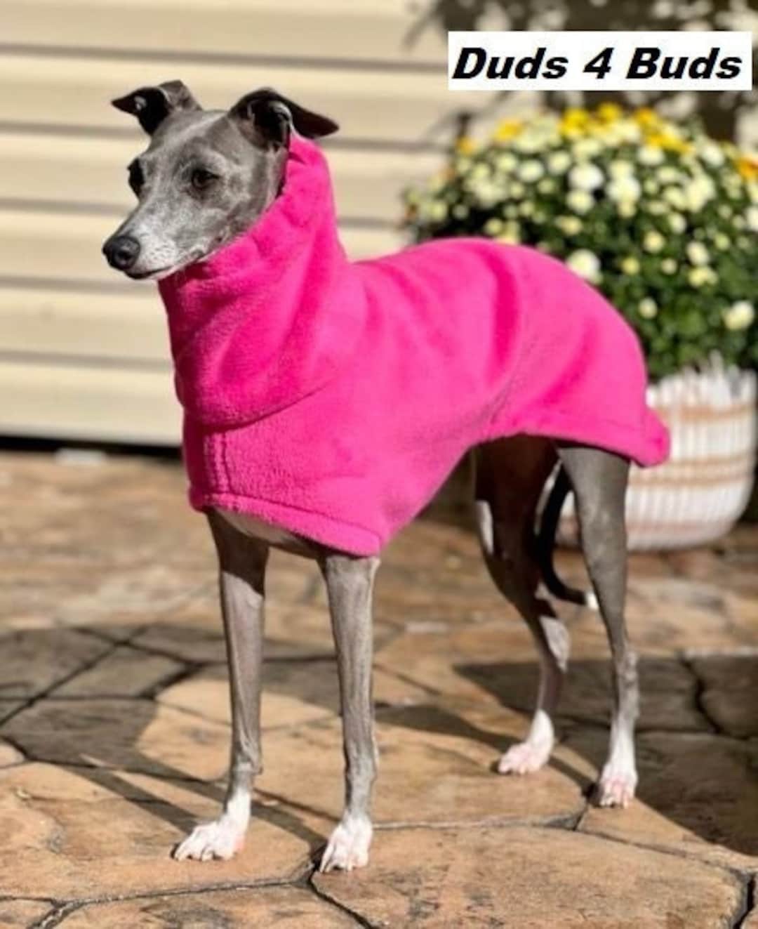 Italian Greyhound Coat Italian Greyhound Clothing Dog Coat Etsy