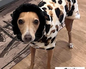 Italian Greyhound Coat - Italian Greyhound Clothing - Modern Leopard Hoodie w/Faux Fur - Fleece Dog Coat - Italian Greyhound Sizes
