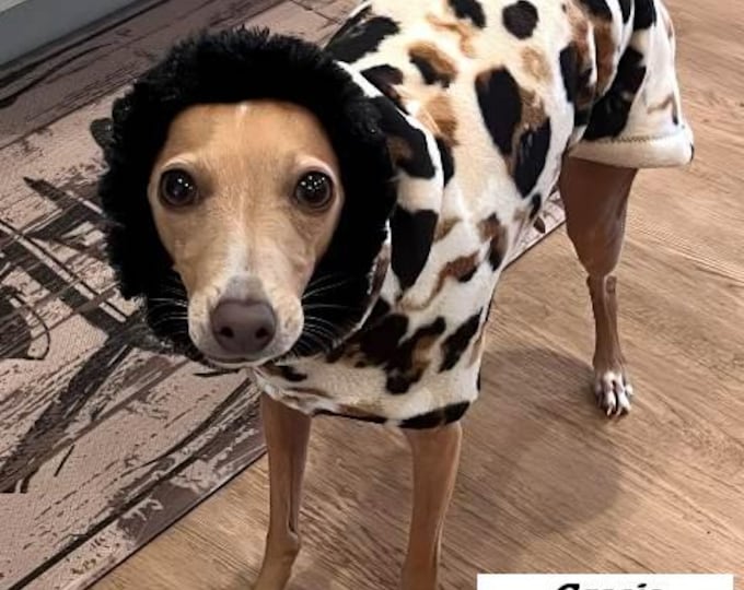 Italian Greyhound Coat - Italian Greyhound Clothing - Modern Leopard Hoodie w/Faux Fur - Fleece Dog Coat - Italian Greyhound Sizes