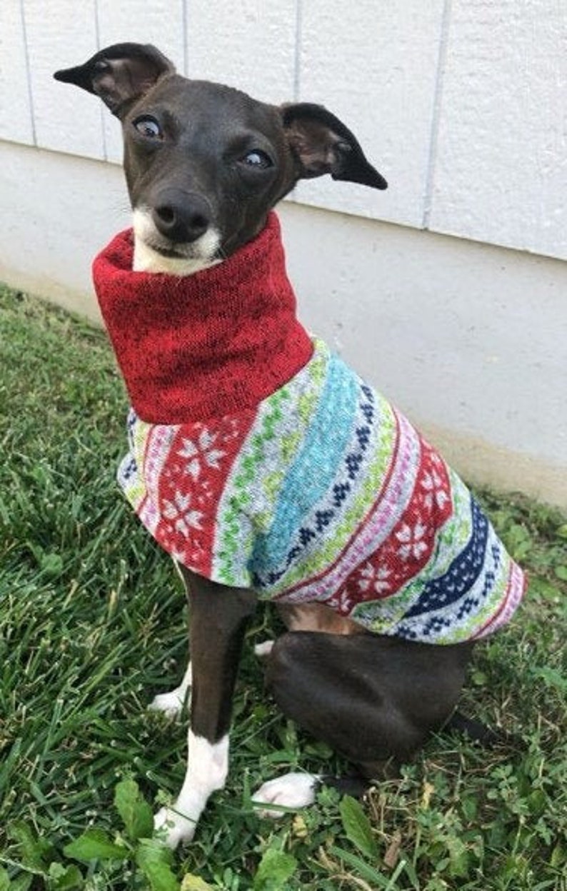 Italian Greyhound Sweater Ugly Christmas Sweater for Dog Pet Accessories Dog Sweater Small Dog Clothes Pet Christmas image 6