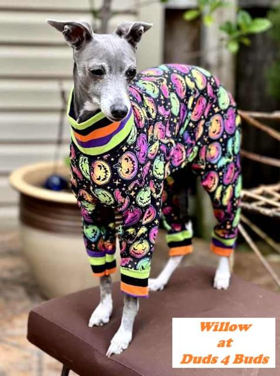 Italian Greyhound Clothing Halloween for Dog Dog Pajama