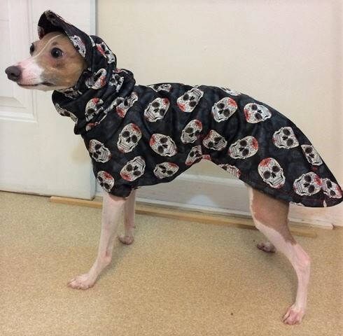 greyhound raincoat with hood