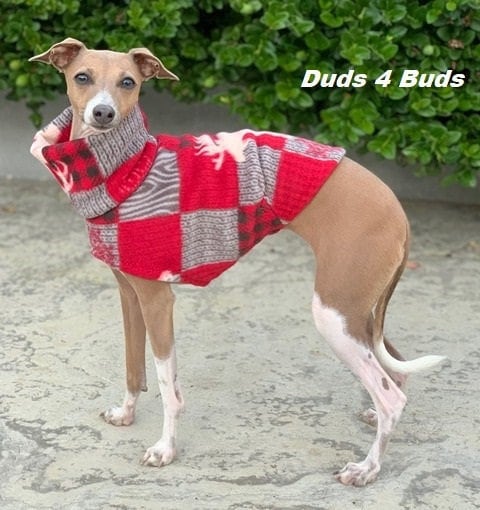 Italian greyhound deals christmas sweater