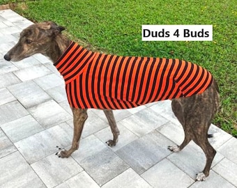 Greyhound Clothing - Pet Halloween - Grehound Halloween - Orange Stripe Tee - Greyhound Size