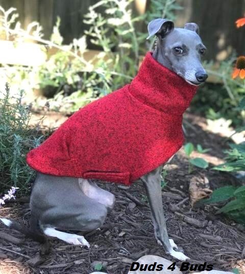 Italian greyhound christmas sweater sale