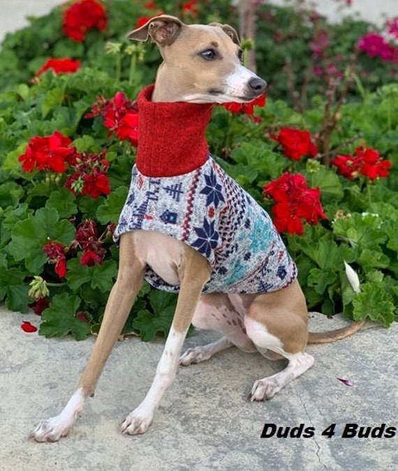 Greyhound dog clearance sweaters
