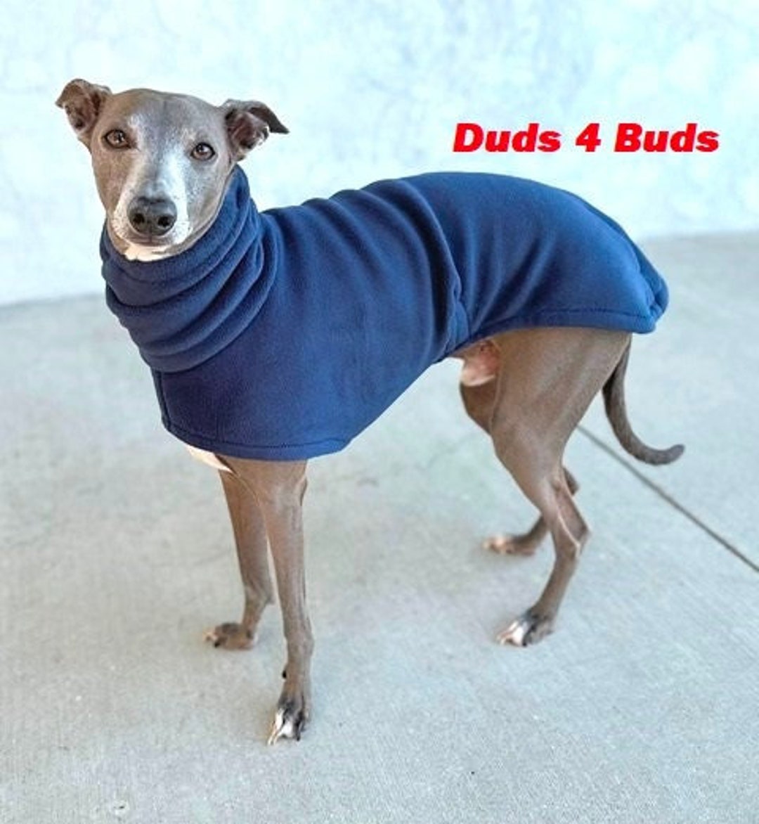 Italian Greyhound Coat Italian Greyhound Clothing Dog Coat Navy Blue