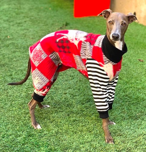 Festive Furry Friends The Rise of Dog Christmas Pajamas