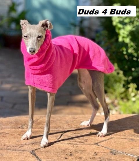 Greyhound hoodie for dog cheap