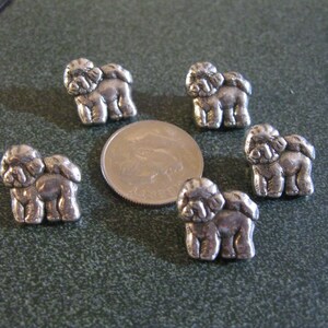 5 pieces - Small 8mm Maltese Dog Concho with Screws, Antique Silver