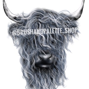 Harry the highland cow digital art print original
