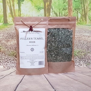 Fuller&#39;s Teasel Herb (Dipsacus Fullonum L. – Fullonum Herba) Health Embassy