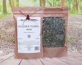 Erba di cardo di Fuller (Dipsacus Fullonum L. – Fullonum Herba) Health Embassy