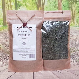 Cabbage Thistle Herb (Cirsium oleraceum L.) Health Embassy