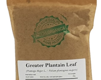 Blatt des Großen Wegerichs - Plantago Major L # Herba Organica #