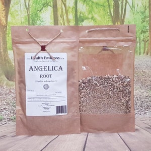 Angelica Root ( Angelica archangelica L. - Radix Archangelicae ) Herbal Tea Health Embassy