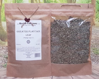 Té de hojas de llantén mayor (Plantago major) Health Embassy 100% Natural