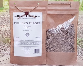 Fuller's Teasel Root (Dipsacus fullonum) Health Embassy