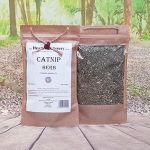 Catnip Herb Tea ( Nepeta cataria ) Health Embassy 100% Natural Herbal Tea
