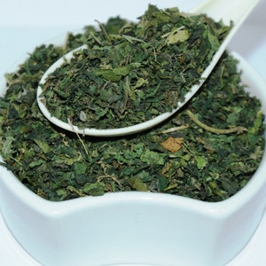 May include: A white bowl filled with dried green nettle leaves. A white spoon with more dried nettle leaves is resting on top of the bowl.