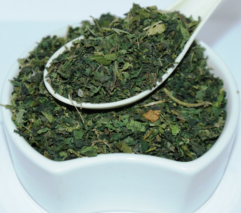 May include: A white bowl filled with dried green nettle leaves. A white spoon with more dried nettle leaves is resting on top of the bowl.