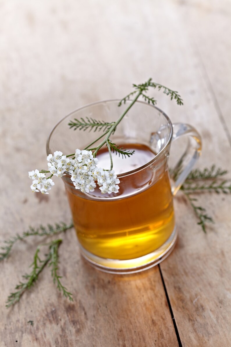 Yarrow Herb Tea Millefolii Herba Health Embassy | Etsy