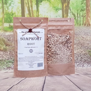 Seifenkrautwurzel (Saponaria officinalis L) Gesundheit Botschaft Natürliche Kräutertee