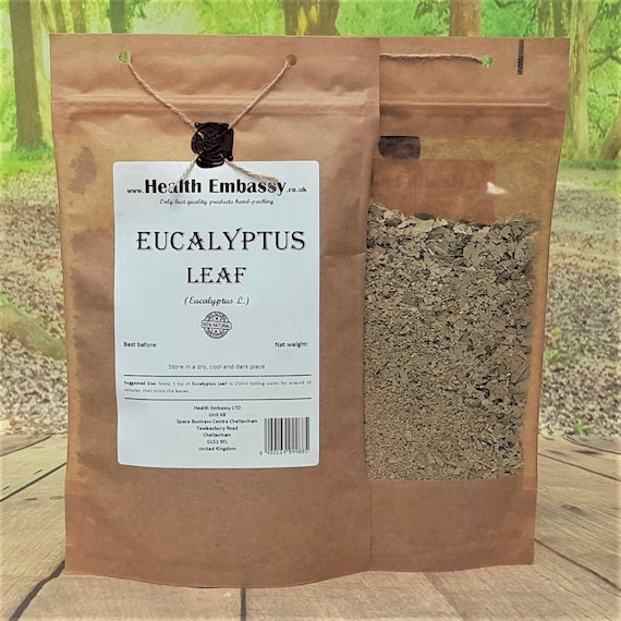 Eucalyptus Leaf Herbal Tea – 2 Oz Loose Leaf Tea, Herbal Remedy & Infusion 8 thumbnail image