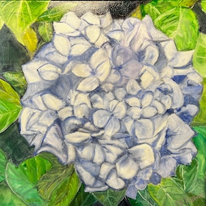 Hydrangea flower - original signed oil painting on canvas