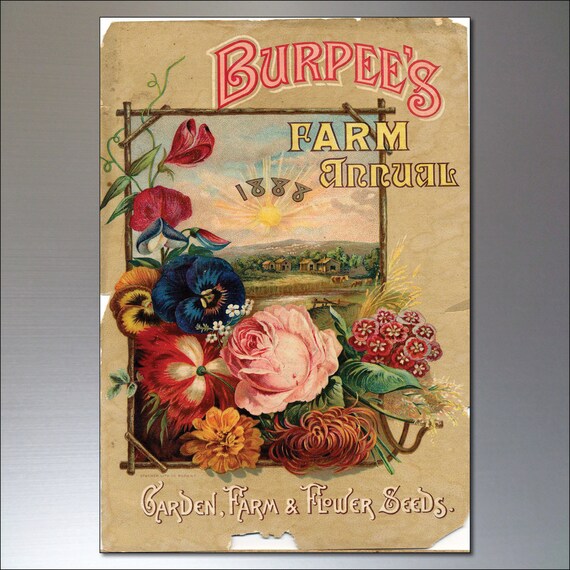 set of 8 Vintage Botanical//Horticultural seed packet fridge magnets No.2